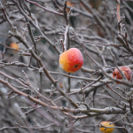 Why a little passive income from a side project is worth a lot more than you think Even modest passive income streams will bear fruit (Image by Lindsay Haver)