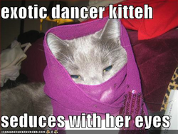 Exotic attractions