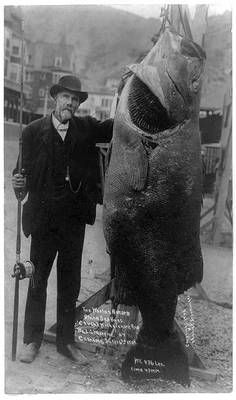 Photo of a big fisherman’s catch as an analogy for going over the pension lifetime allowance